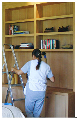 SonoMarin’s Cleaning Tips: How to Clean a Bookshelf